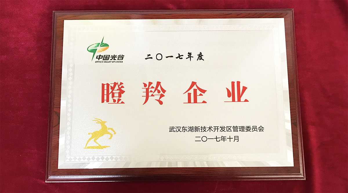 祝賀武漢邁信電氣技術(shù)有限公司榮獲中國(guó)光谷2017年度“瞪羚企業(yè)”！